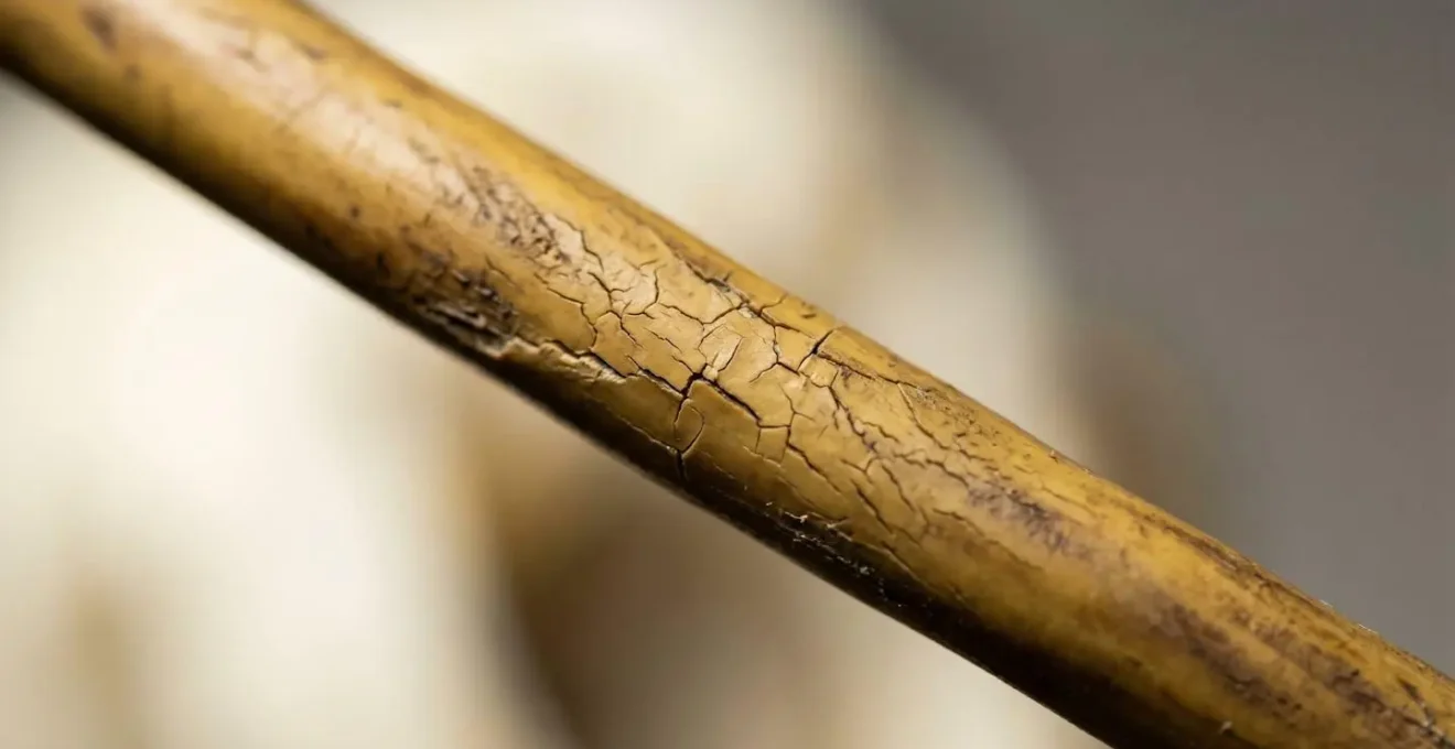 Détail macro de l'usure d'un câble électrique montrant la dégradation progressive de l'isolant